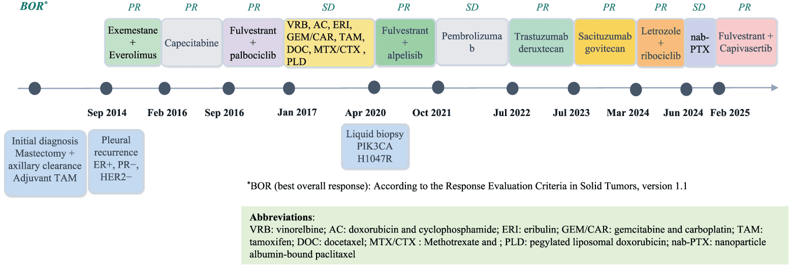 Figure 1. Timeline of systemic treatments and responses.