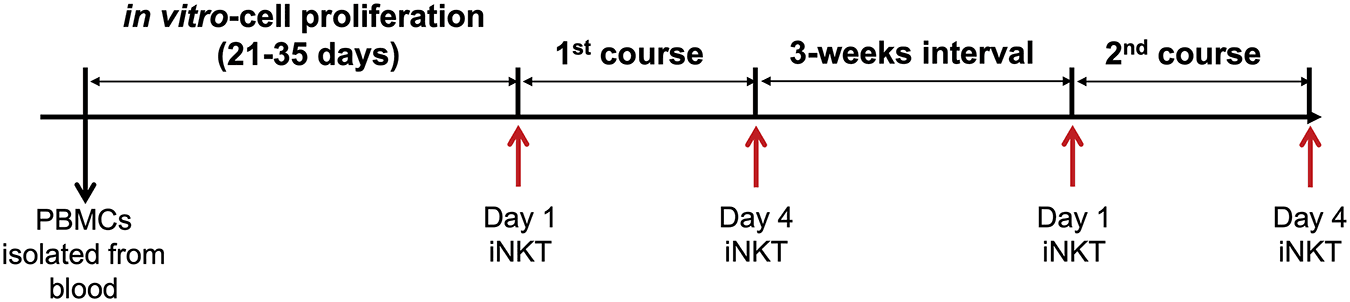 Figure 2. iNKT cell–based transfusion protocol.
