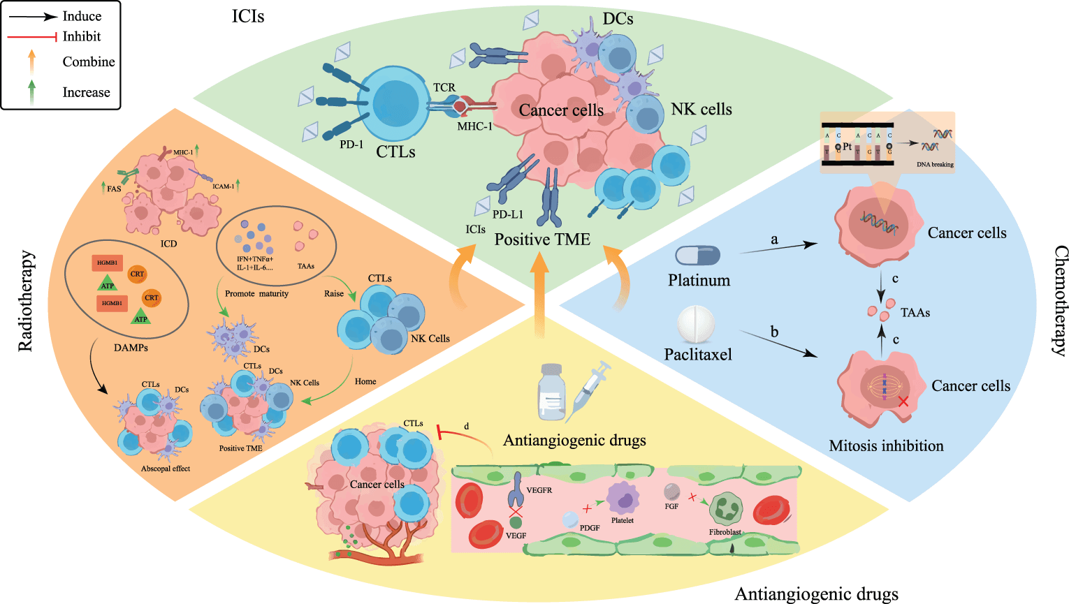 Figure 5. Mechanistic rationale for combining PD-(L)1 blockade with chemotherapy, radiotherapy, or antiangiogenic therapy. Cytotoxic therapies may induce DNA damage, mitotic disruption, antigen release, and immunogenic cell death, whereas antiangiogenic therapy may normalize vasculature and reduce VEGF-mediated immune suppression. These effects are context dependent and do not guarantee clinical synergy. Abbreviations: CRT, calreticulin; CTL, cytotoxic T lymphocyte; DAMP, damage-associated molecular pattern; DC, dendritic cell; FGF, fibroblast growth factor; HMGB1, high-mobility group box 1; ICAM, intercellular adhesion molecule; ICD, immunogenic cell death; ICI, immune checkpoint inhibitor; IFN, interferon; IL, interleukin; MDSC, myeloid-derived suppressor cell; MHC, major histocompatibility complex; NK, natural killer; PDGF, platelet-derived growth factor; PD-L1, programmed death-ligand 1; TAA, tumor-associated antigen; TAN, tumor-associated neutrophil; TCR, T-cell receptor; TME, tumor microenvironment; TNF, tumor necrosis factor; Treg, regulatory T cell; VEGF, vascular endothelial growth factor; VEGFR, vascular endothelial growth factor receptor.