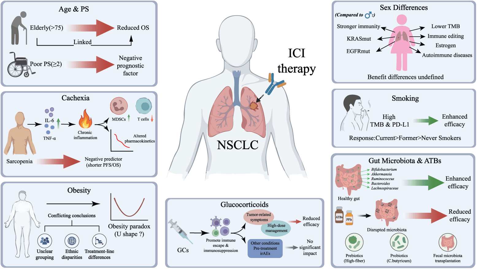Figure 6. Host characteristics and concomitant exposures associated with outcomes during ICI therapy. Poor performance status, cachexia, sarcopenia, and baseline corticosteroid use for cancer-related symptoms are generally associated with inferior outcomes. Smoking history, obesity, microbiota composition, and antibiotic or proton-pump inhibitor exposure show context-dependent associations and should not be interpreted as causal or as independent treatment-selection criteria. Abbreviations: ATB, antibiotic; BMI, body mass index; EGFR, epidermal growth factor receptor; GC, glucocorticoid; ICI, immune checkpoint inhibitor; IL, interleukin; irAE, immune-related adverse event; KRAS, KRAS proto-oncogene, GTPase; MDSC, myeloid-derived suppressor cell; NSCLC, non-small cell lung cancer; OS, overall survival; PD-L1, programmed death-ligand 1; PFS, progression-free survival; PPI, proton-pump inhibitor; PS, performance status; TMB, tumor mutational burden; TNF, tumor necrosis factor.