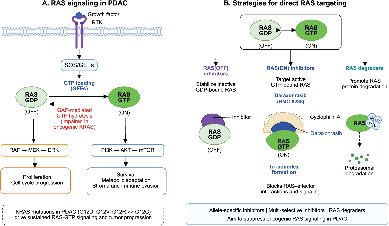 Figure 1. RAS signaling and direct targeting strategies in PDAC.
