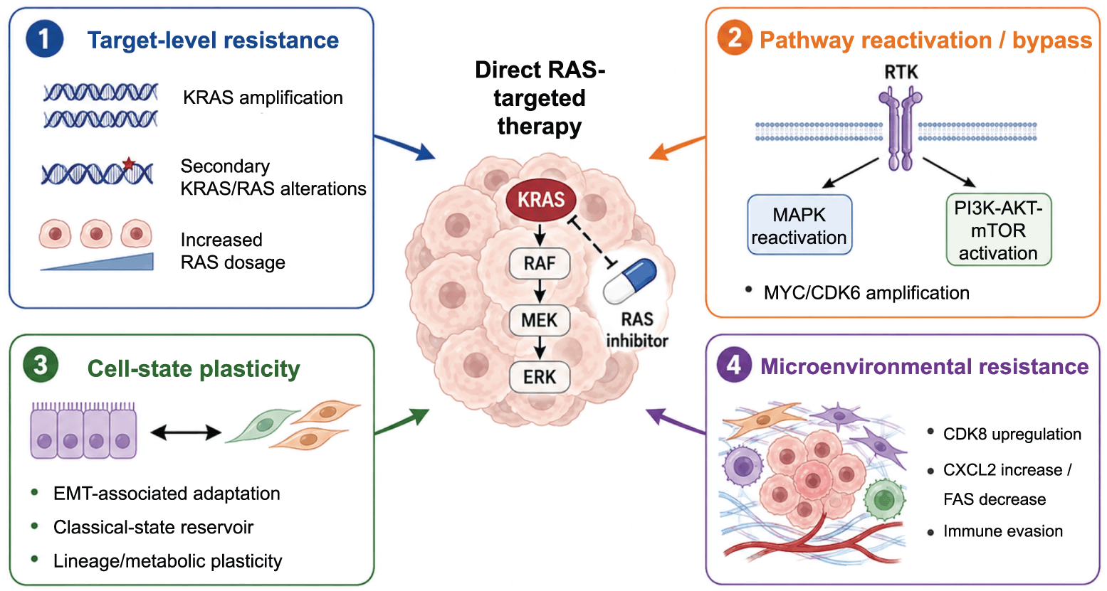 Figure 3. Resistance to direct RAS-targeted therapy in PDAC.
